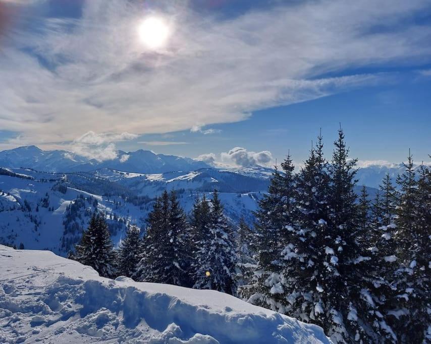 Appartamento Di Charme Praz-sur-Arly Eksteriør billede