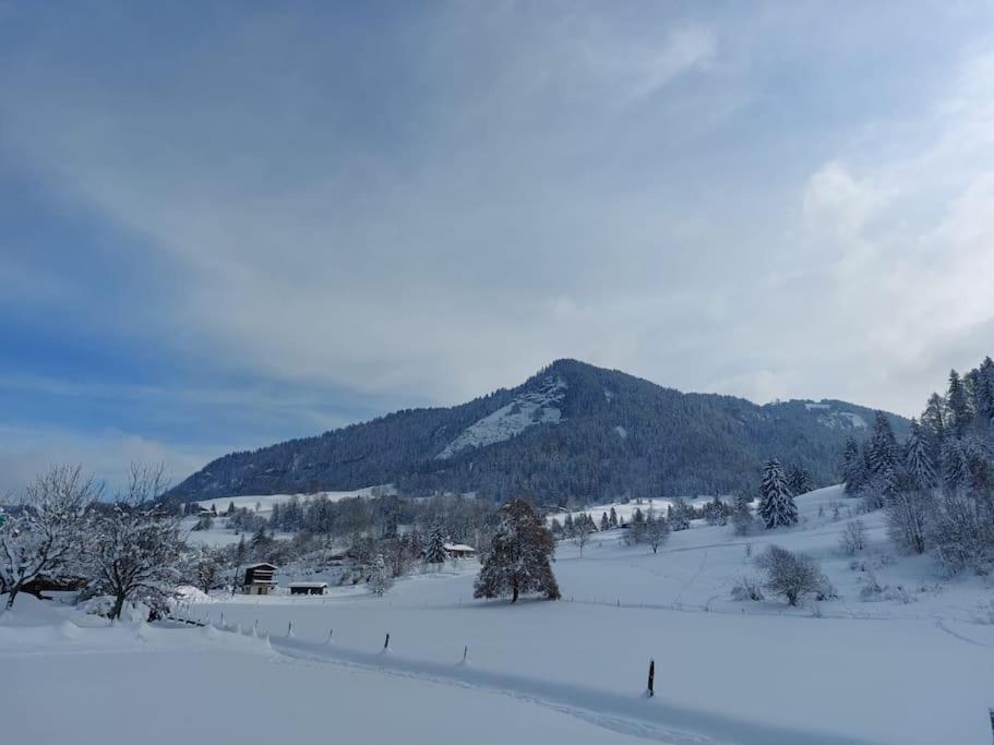 Appartamento Di Charme Praz-sur-Arly Eksteriør billede