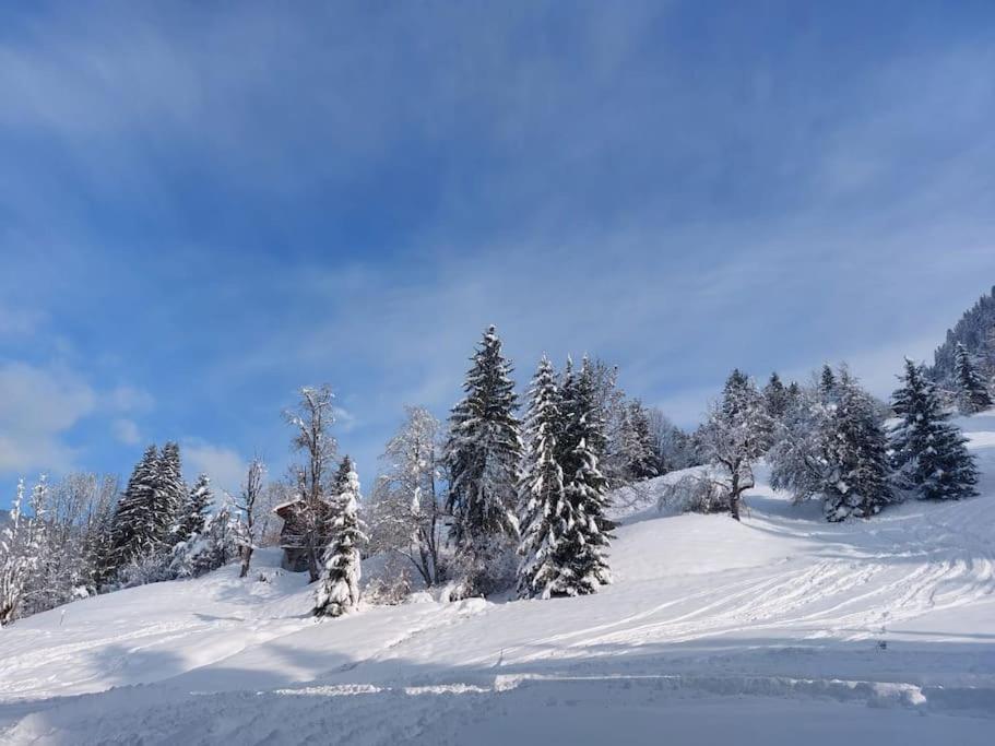 Appartamento Di Charme Praz-sur-Arly Eksteriør billede