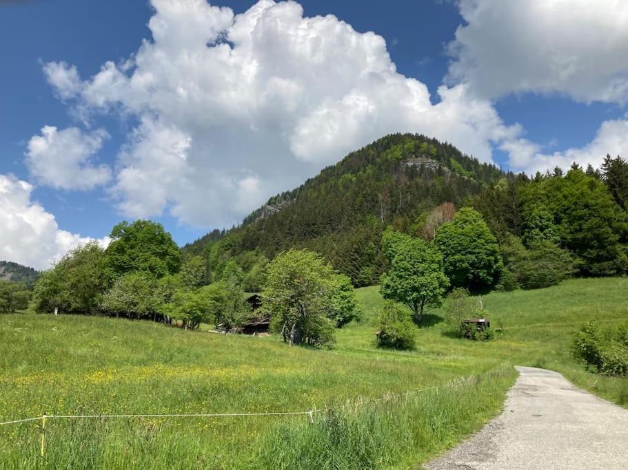 Appartamento Di Charme Praz-sur-Arly Eksteriør billede
