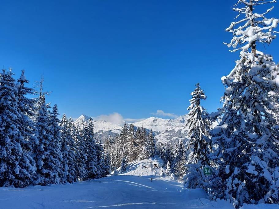 Appartamento Di Charme Praz-sur-Arly Eksteriør billede